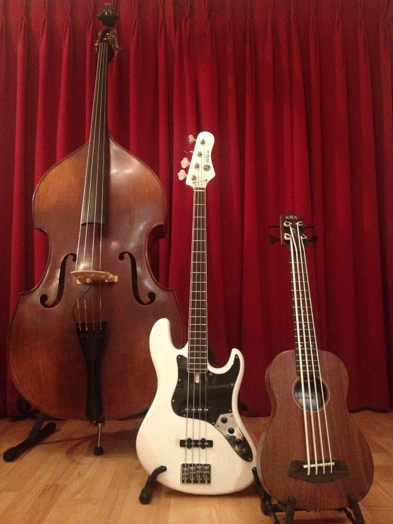 Double Bass and Electric Bass Lessons